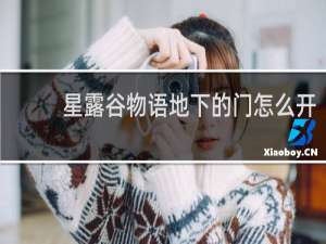 星露谷物语地下的门怎么开
