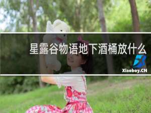 星露谷物语地下酒桶放什么