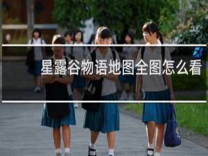 星露谷物语地图全图怎么看