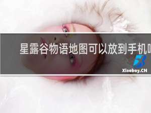 星露谷物语地图可以放到手机吗