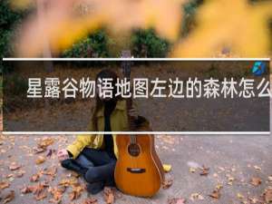 星露谷物语地图左边的森林怎么去
