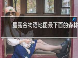 星露谷物语地图最下面的森林