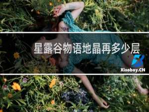 星露谷物语地晶再多少层