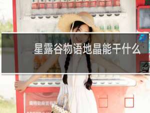 星露谷物语地晶能干什么