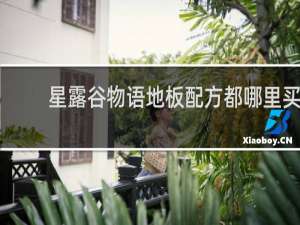 星露谷物语地板配方都哪里买