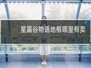星露谷物语地根哪里有卖