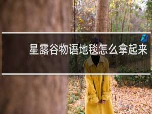 星露谷物语地毯怎么拿起来