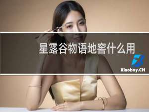 星露谷物语地窖什么用