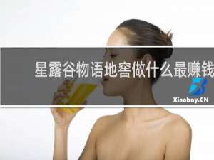 星露谷物语地窖做什么最赚钱