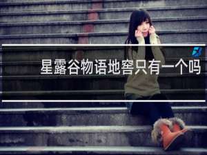 星露谷物语地窖只有一个吗