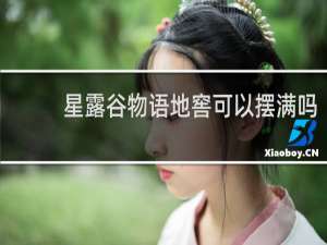 星露谷物语地窖可以摆满吗