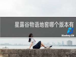 星露谷物语地窖哪个版本有