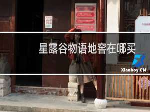 星露谷物语地窖在哪买