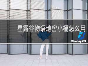 星露谷物语地窖小桶怎么用