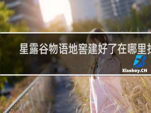 星露谷物语地窖建好了在哪里找