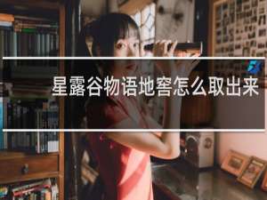 星露谷物语地窖怎么取出来