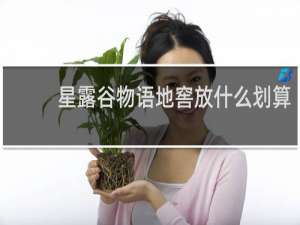 星露谷物语地窖放什么划算