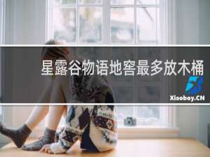 星露谷物语地窖最多放木桶