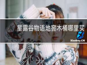 星露谷物语地窖木桶哪里买