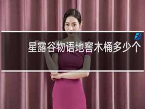 星露谷物语地窖木桶多少个