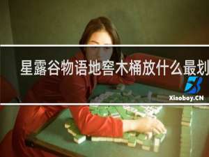 星露谷物语地窖木桶放什么最划算