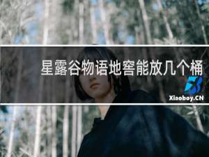 星露谷物语地窖能放几个桶