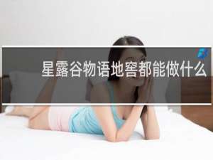 星露谷物语地窖都能做什么