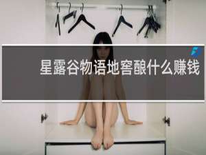 星露谷物语地窖酿什么赚钱