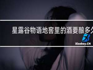 星露谷物语地窖里的酒要酿多久