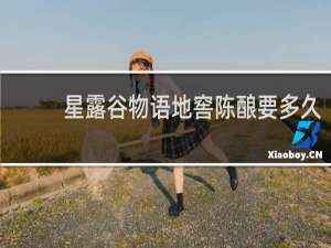 星露谷物语地窖陈酿要多久