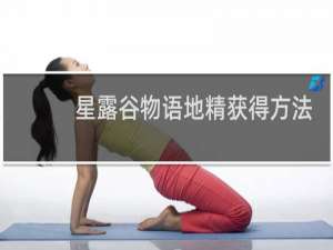 星露谷物语地精获得方法