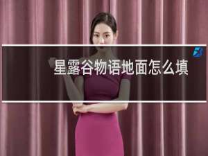 星露谷物语地面怎么填