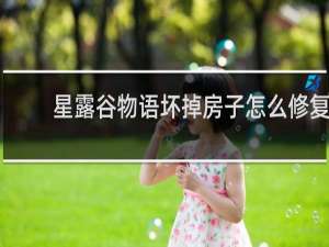 星露谷物语坏掉房子怎么修复