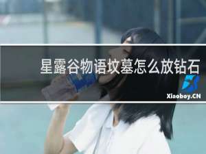 星露谷物语坟墓怎么放钻石