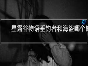 星露谷物语垂钓者和海盗哪个好