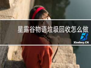 星露谷物语垃圾回收怎么做