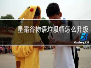 星露谷物语垃圾帽怎么升级