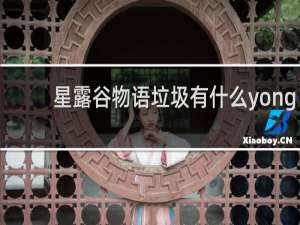 星露谷物语垃圾有什么yong