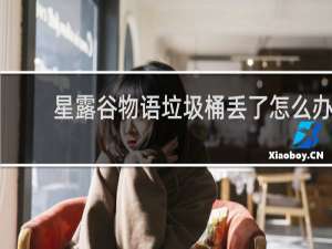 星露谷物语垃圾桶丢了怎么办