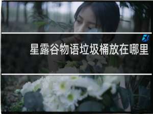 星露谷物语垃圾桶放在哪里