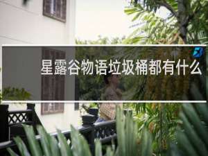 星露谷物语垃圾桶都有什么