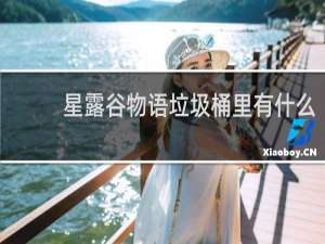 星露谷物语垃圾桶里有什么