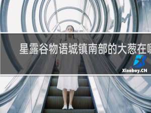 星露谷物语城镇南部的大葱在哪