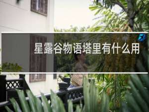 星露谷物语塔里有什么用