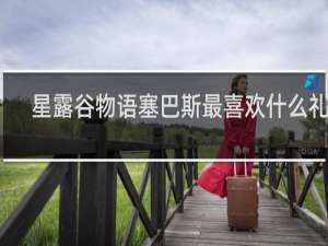 星露谷物语塞巴斯最喜欢什么礼物