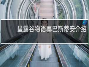 星露谷物语塞巴斯蒂安介绍