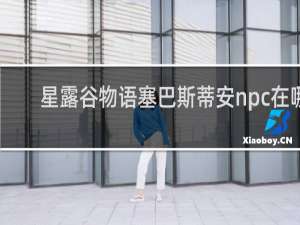 星露谷物语塞巴斯蒂安npc在哪