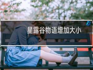 星露谷物语增加大小