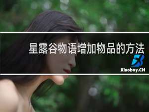 星露谷物语增加物品的方法