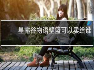 星露谷物语壁篮可以卖给谁